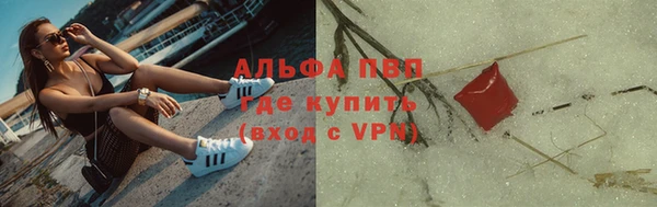 шишки Бронницы