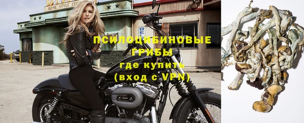 альфа пвп Бородино
