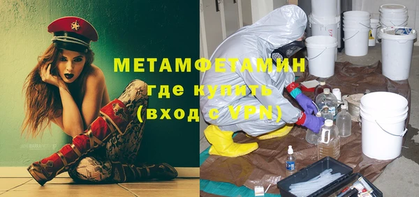 ПСИЛОЦИБИНОВЫЕ ГРИБЫ Богданович