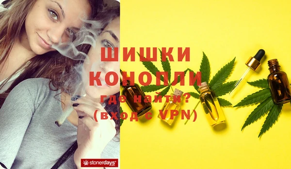 шишки Бронницы