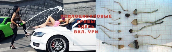 альфа пвп Бородино