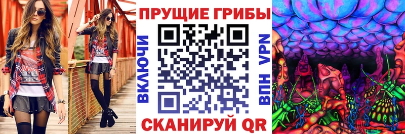 Галлюциногенные грибы GOLDEN TEACHER  магазин  наркотиков  Гусиноозёрск 